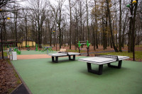 Сквер им. 30-летия ВЛКСМ в Новомосковске, Фото: 93