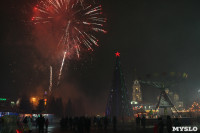 Открытие главной ёлки на площади Ленина, Фото: 60