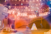 Как центр Тулы украсили к Новому году, Фото: 37