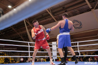 Финал турнира по боксу "Гран-при Тулы", Фото: 243