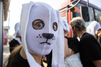 Фотографии с ежегодного фестиваля «Театральный дворик», Фото: 4