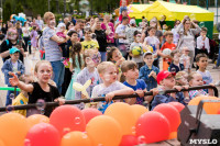 «Евраз Ванадий Тула» организовал большой праздник для детей в Пролетарском парке Тулы, Фото: 93