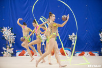 Соревнования по художественной гимнастике на призы благотворительного фонда «Земляки», Фото: 162