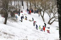 Туляки катаются на лыжах в Центральном парке, Фото: 21