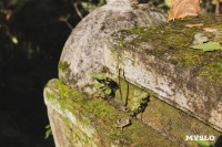 Всехсвятское кладбище, Фото: 101