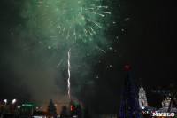 Открытие главной ёлки на площади Ленина, Фото: 42