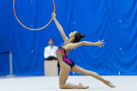Художественная гимнастика, Фото: 40