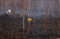 Сразу в нескольких районах Тульской области загорелись поля, Фото: 11