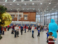 Фестиваль «Шар-папье»: Тульский кремль украсили огромные новогодние бусы, Фото: 63