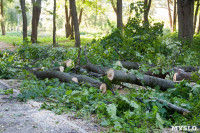 В Баташевском саду из-за непогоды упали вековые деревья, Фото: 4