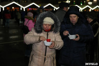 Открытие главной ёлки на площади Ленина, Фото: 3