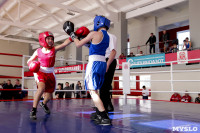 Первенство Тульской области по боксу, Фото: 27