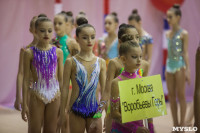 Всероссийский турнир по художественной гимнастике, Фото: 37