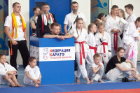 В Щекино прошел крупный турнир по каратэ, Фото: 15