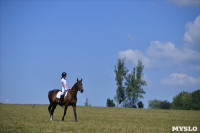 В Ясной поляне стартовал турнир по конному спорту, Фото: 126