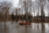 В Туле затопило Баташевский сад, Фото: 3