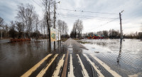 В Туле затопило Баташевский сад, Фото: 4