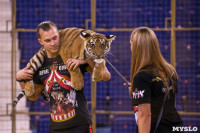 Фитнес для тигрят: как воспитываются будущие звезды цирка?, Фото: 38