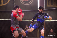 Турнир по ММА памяти Алексея Калинина собрал лучших бойцов страны: фоторепортаж, Фото: 45