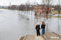 Упа в Туле затопила детскую площадку и кафе на Пролетарской набережной, Фото: 6