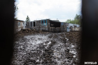 Коровы, свиньи и горы навоза в деревне Кукуй: Роспотреб требует запрета деятельности токсичной фермы, Фото: 26
