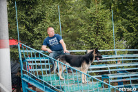 Всероссийская выставка собак в Туле, Фото: 61
