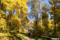 Золотая осень в Ясной Поляне, Фото: 4