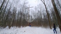 В Тульском лесу нашли загадочную поляну с крестами, елкой и зеркалами, Фото: 8