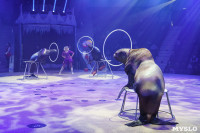 «Чудеса Новогодней Ёлки» ждут вас в Тульском цирке, Фото: 95