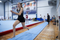 Всероссийские соревнования по спортивной гимнастике, Фото: 6