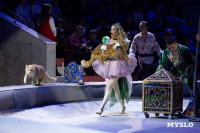 Цирковое шоу Жар птица, Фото: 26