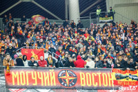 «Спартак»-«Арсенал». 9.11.2014, Фото: 11