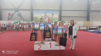 Тульские гимнастки завоевали в Нальчике шесть медалей в многоборье , Фото: 3