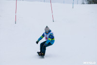 I-й этап Кубка Тулы по горным лыжам и сноуборду., Фото: 24