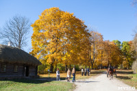 Золотая осень в Ясной Поляне, Фото: 50