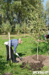 В Пролетарском районе высадили молодые деревья, Фото: 2