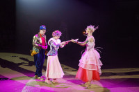 Премьера в Тульском цирке: шоу фонтанов «13 месяцев» удивит вас!, Фото: 15