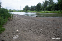 Почему обмелел пруд в Рогожинском парке Тулы?, Фото: 18
