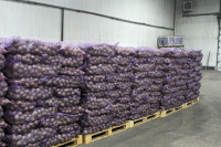 Андрей Дубровский посетил «Богородицкий альянс», Фото: 35