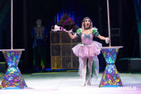 Цирковое шоу Жар птица, Фото: 20