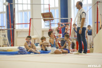 Спортивная гимнастика в Туле 3.12, Фото: 35