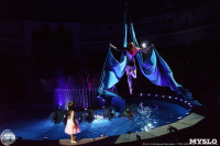 Цирк на воде «Остров сокровищ» в Туле: Здесь невозможное становится возможным, Фото: 112