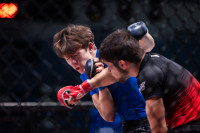 В «Тула-Арене» состоялись областные соревнования по ММА, Фото: 95