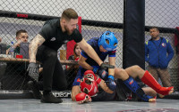В Новомосковске прошел Чемпионат и Первенство Тульской области по ММА, Фото: 209