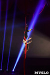 «Чудеса Новогодней Ёлки» ждут вас в Тульском цирке, Фото: 40