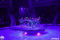 Цирк на воде «Остров сокровищ» в Туле: Здесь невозможное становится возможным, Фото: 60