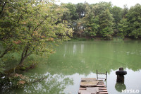 Загрязнение прудв в Платоновском парке, Фото: 6