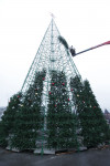 Установка новогодней елки на площади Ленина, Фото: 3