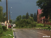 Ураган в Ефремове: последствия, Фото: 11