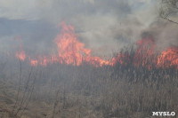 В Мясново загорелось поле, Фото: 20